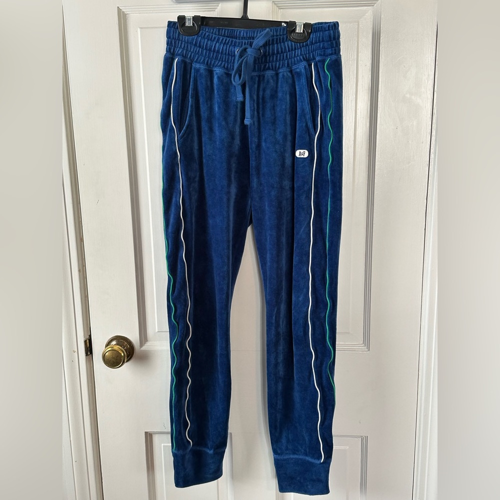 Abercrombie & Fitch Blue Velor Pants